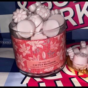Bath and body works cactus Blossom candle wax melts